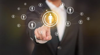 軟件開發中IT人員的必要工作內容解析